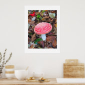Poster Tabouret rouge, Amanita muscaria (Cuisine)