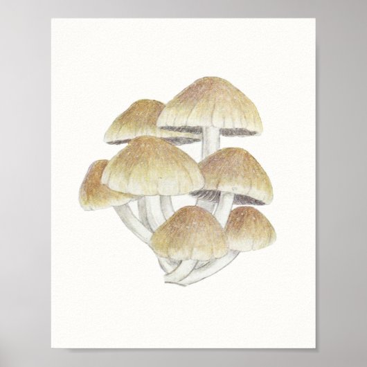 Poster Tabouret vintage Champignons champignon champignon (Devant)