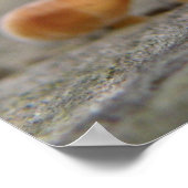 Poster Tabourets Tabourets Macro Print (Coin)