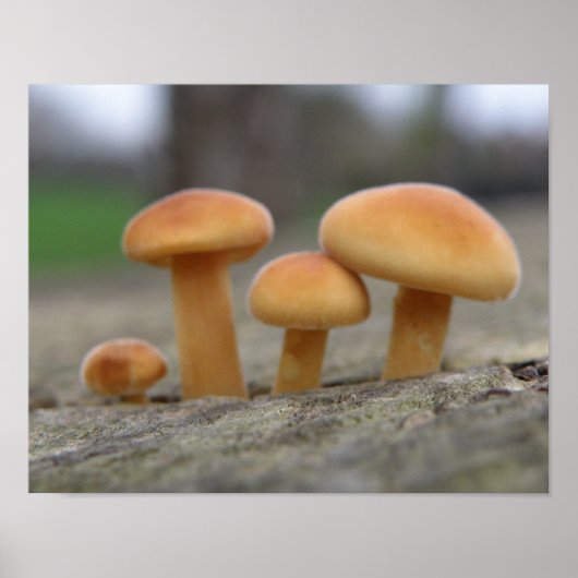 Poster Tabourets Tabourets Macro Print (Devant)