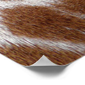 Poster Taches de girafe (Coin)