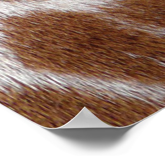 Poster Taches de girafe (Coin)