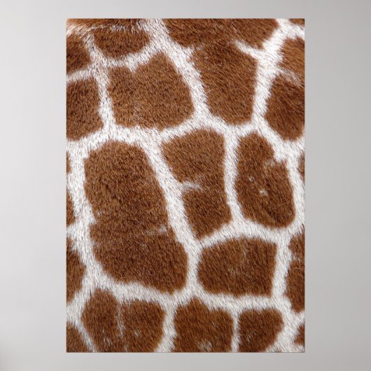Poster Taches de girafe (Devant)