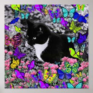 Poster Taches de rousseur dans les papillons II - chat de