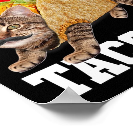 Poster Taco Chat Écrit À L'Arrière Est Tacocat Mème Silly (Coin)