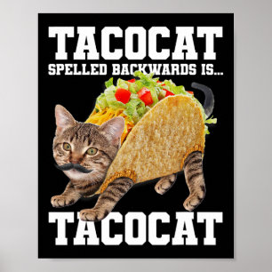 Poster Taco Chat Écrit À L'Arrière Est Tacocat Mème Silly