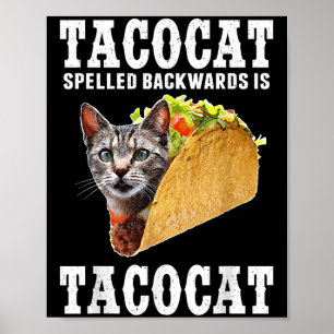 Poster Tacocat Écrit À L'Arrière Est Tacocat Drôle Chat L