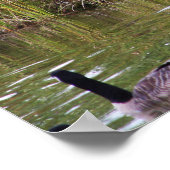 POSTER TADA ! (Coin)