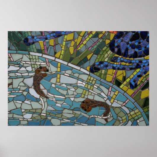 Poster Tadpole Mosaic, 2010 photo de Derrick W. Black (Devant)