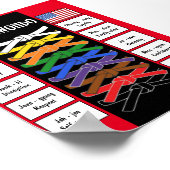 Poster Taekwondo (Coin)