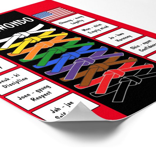 Poster Taekwondo (Coin)