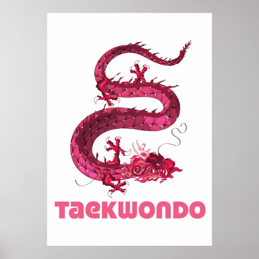Poster Taekwondo (Devant)