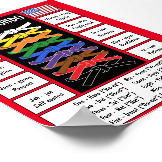 Poster Taekwondo (Coin)