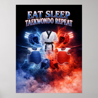 Poster Taekwondo vintage bootleg