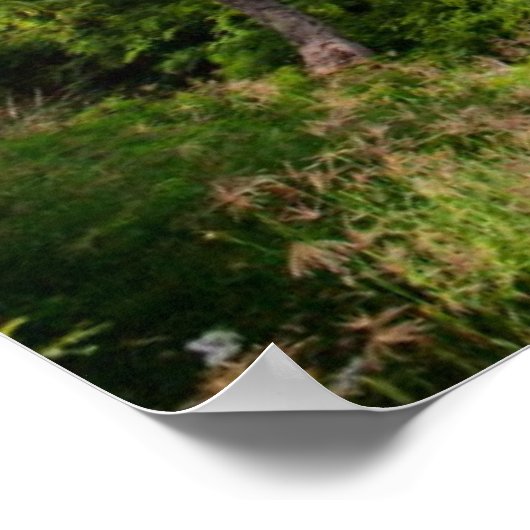 Poster Tahiti (Coin)