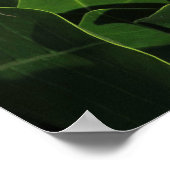 Poster Tahitian Gardenia (Coin)