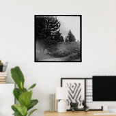 Poster Tahoe National Forest Scene Carré 24x24 Photo (Bureau à domicile)