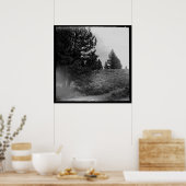 Poster Tahoe National Forest Scene Carré 24x24 Photo (Cuisine)