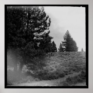Poster Tahoe National Forest Scene Carré 24x24 Photo