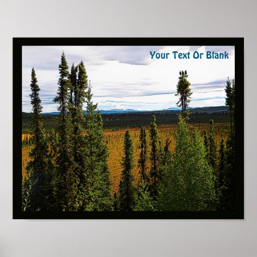 Poster Taiga été (Devant)