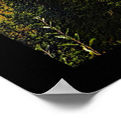 Poster Taiga été (Coin)