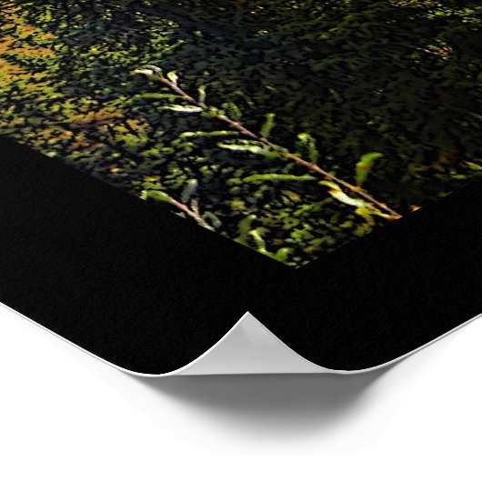 Poster Taiga été (Coin)