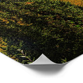 Poster Taiga été (Coin)