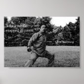 Poster Taiji (Devant)