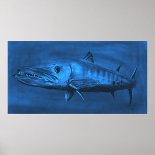 Poster TAILLE DES MURS : Barracuda Bleu De Taille Énorme