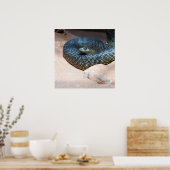 Poster Taïpan intérieur (Cuisine)