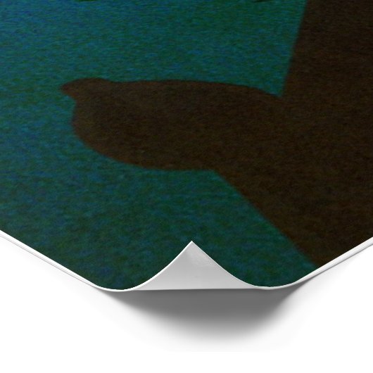 Poster Taïwan (Coin)