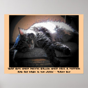 Poster Talk to You Later with Mary Bly quote