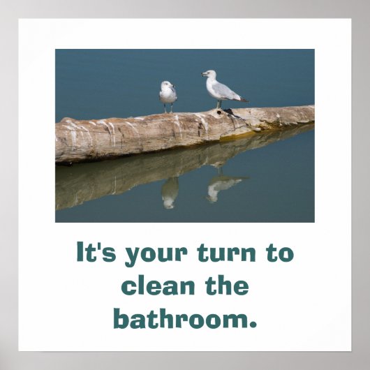 Poster Talking Gull (Devant)