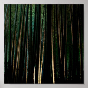 Poster Tall Bamboo at Night.