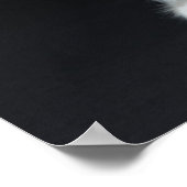 Poster Tall Tabby (Coin)