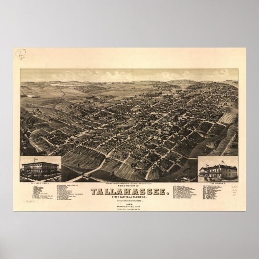 Poster Tallahassee Floride 1885 Carte panoramique (Devant)
