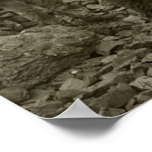 Poster Tamarack Miners (Coin)