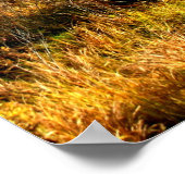 Poster Tamarack Three Seattle Quote Card, Seattle Quote C (Coin)