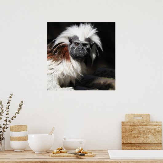 Poster Tamarin au dessus du coton (Cuisine)