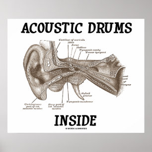 Poster Tambours Acoustiques À L'Intérieur (Anatomie De L'