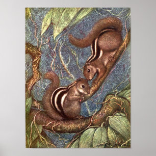 Poster Tamias par Louis Sargent, Animaux sauvages vintage