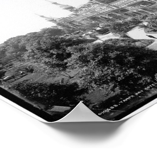 Poster Tampa Bay Hotel, Floride c1902 (Coin)