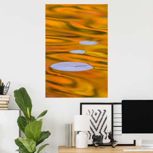 Poster Tampon Lily sur l'eau orange, Canada (Bureau à domicile)