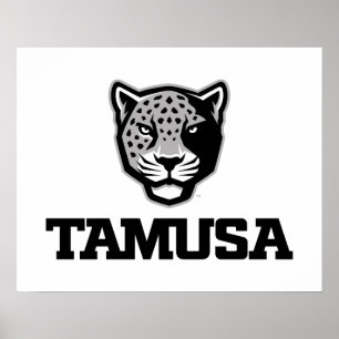 Poster TAMUSA Jaguars