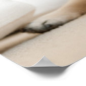 Poster Tan Female (Coin)