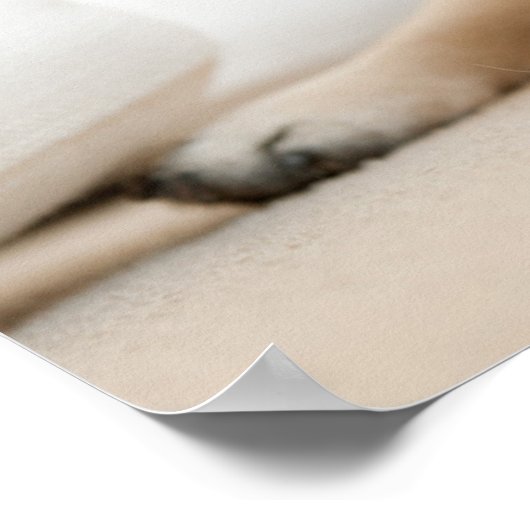 Poster Tan Female (Coin)