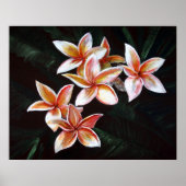 Poster Tan Plumeria (Devant)