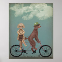 Tandem de caniche