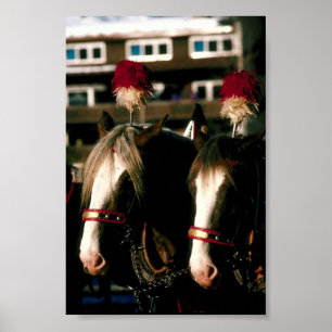 Poster Tandem du Cheval