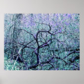 Poster Tangle en bleu (Devant)